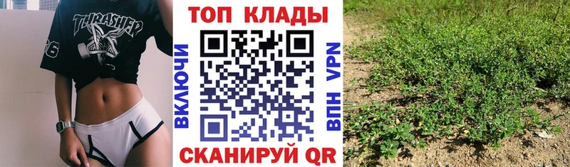 Купить закладку Шатура Alpha PVP  Cocaine  ГАШ  АМФ  Марихуана 