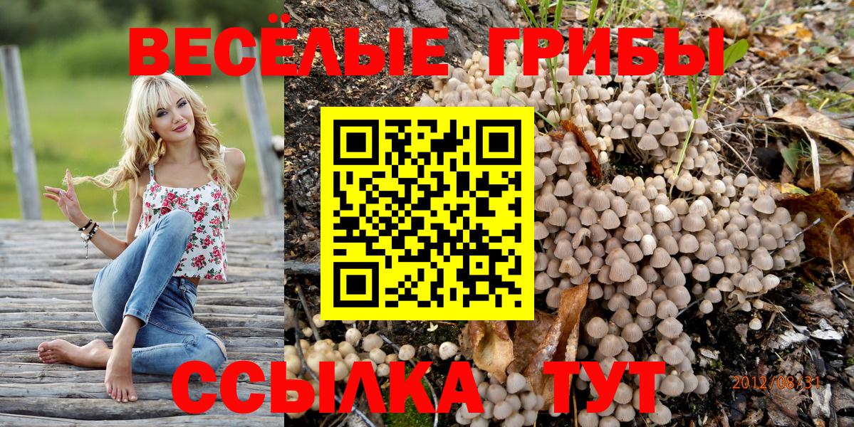 Псилоцибиновые грибы MAGIC MUSHROOMS  дарнет шоп  Шатура  Вход с VPN 